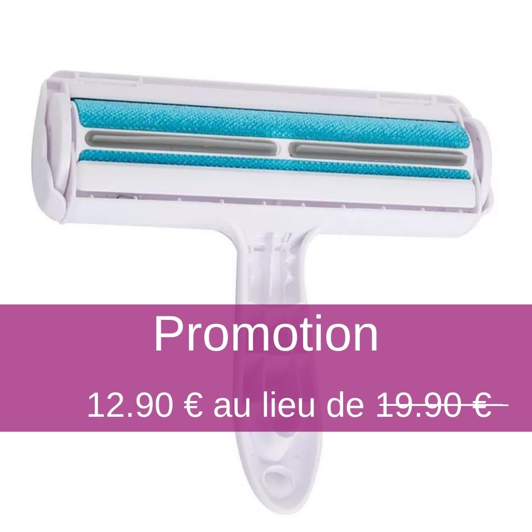 Brosse magique - Chiens ou chats