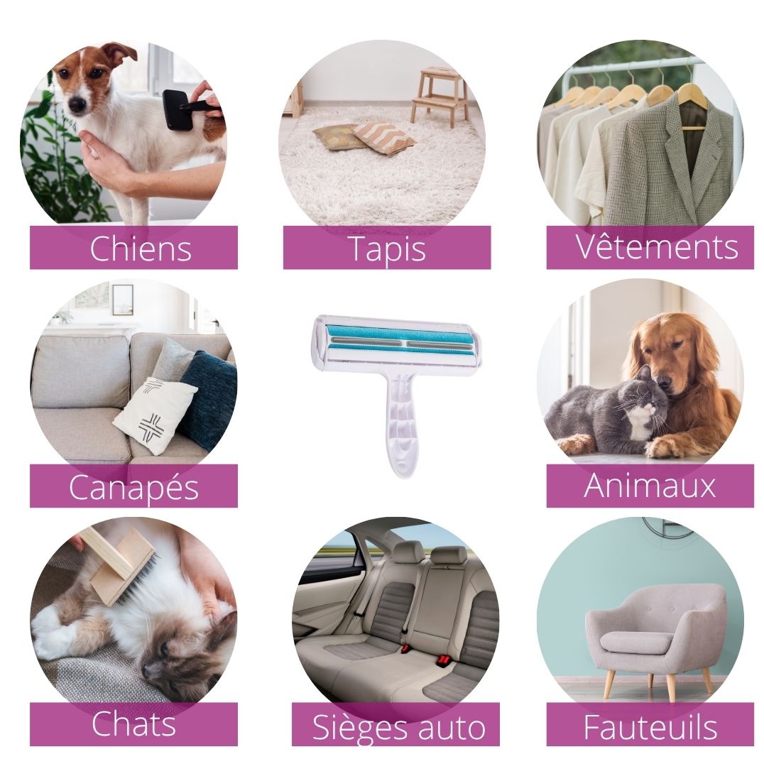 Brosse magique - Chiens ou chats
