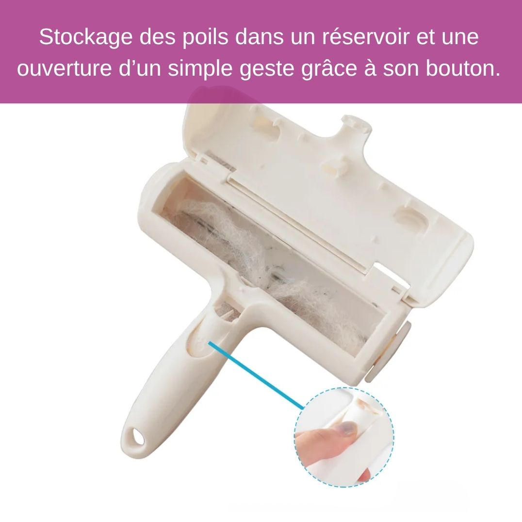 Brosse magique - Chiens ou chats