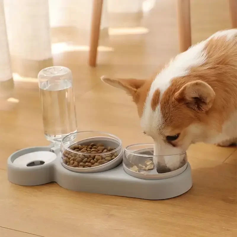 Bols avec eau anti-éclaboussures 2 en 1 pour chats ou chiens