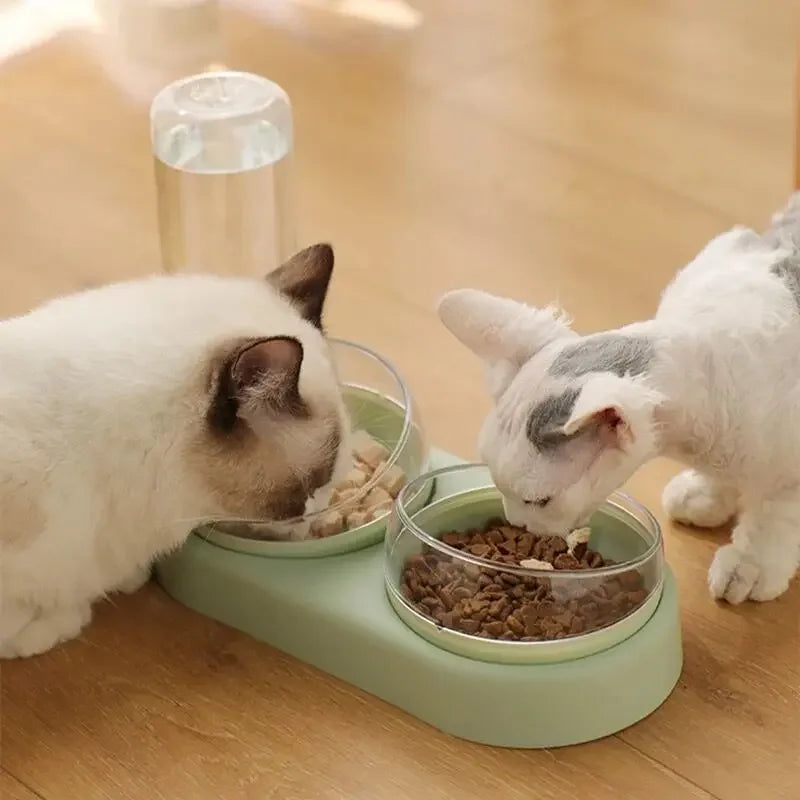 Bols avec eau anti-éclaboussures 2 en 1 pour chats ou chiens