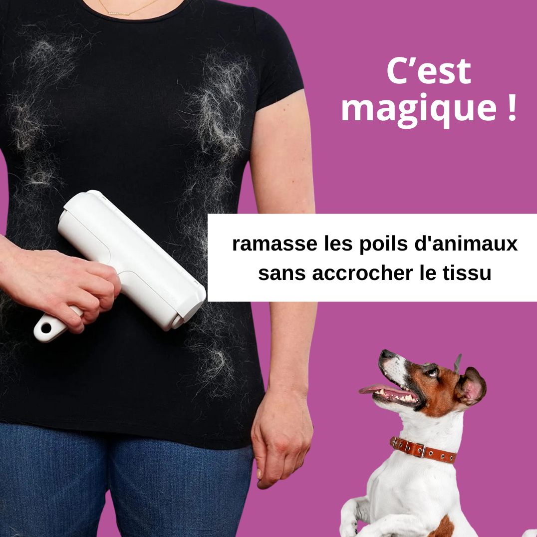 Brosse magique - Chiens ou chats