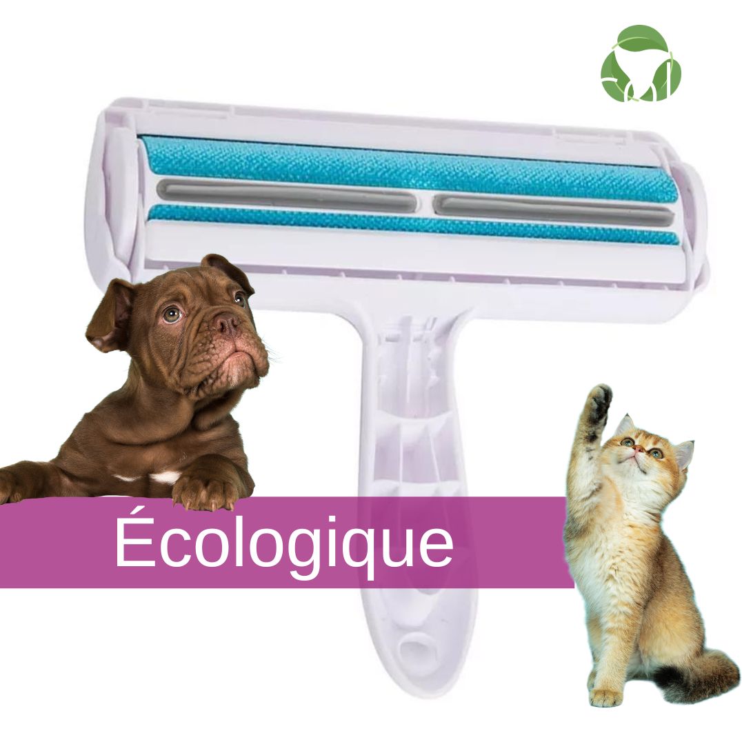 Brosse magique - Chiens ou chats